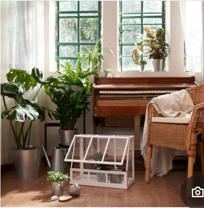 Мини теплица 45 см Икеа